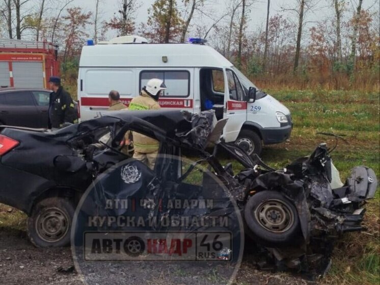 Легковушка попала в жесткое ДТП в Курской области