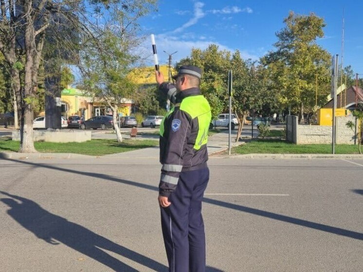 В Геническом округе провели проверку перевозки детей в автомобилях