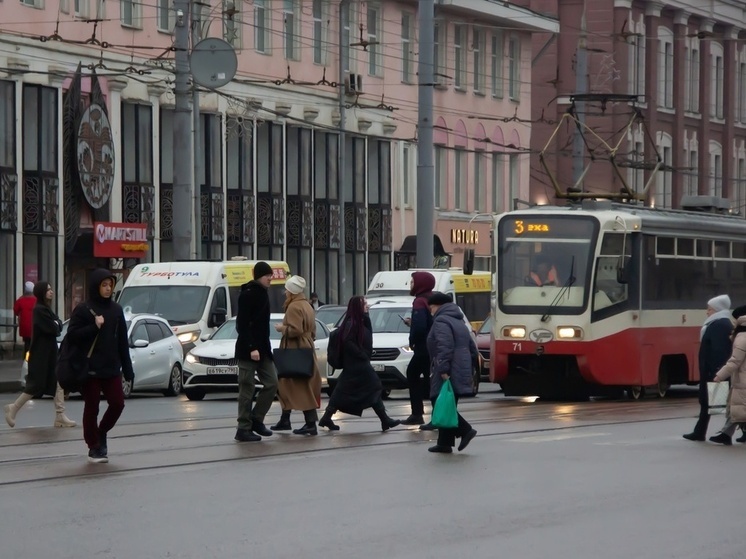 В выходные за порядком в Туле проследят дежурные из городской администрации