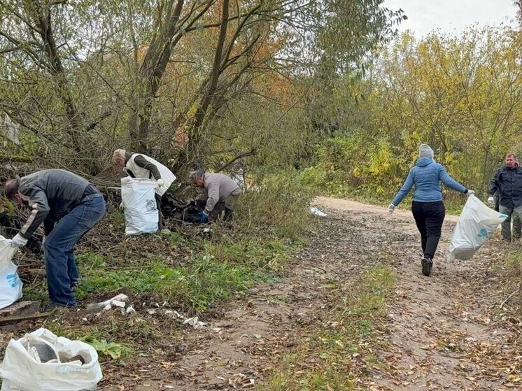 Владимирцы вышли на общегородской субботник