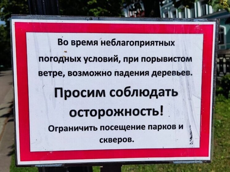 Желтый уровень опасности объявили в Петербурге из-за сильного ветра