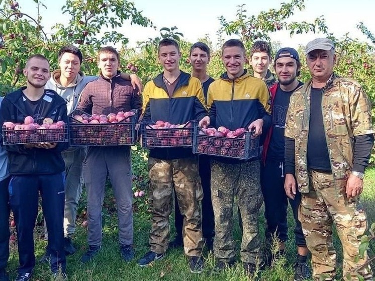 Студенты Калмыкии помогают в сборе урожая яблок