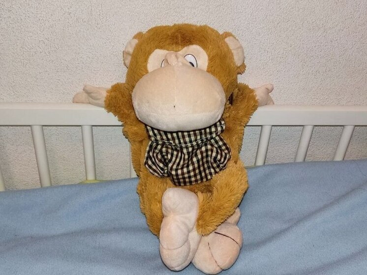 Ленинградцы как следует отдохнут на продолжительных новогодних каникулах