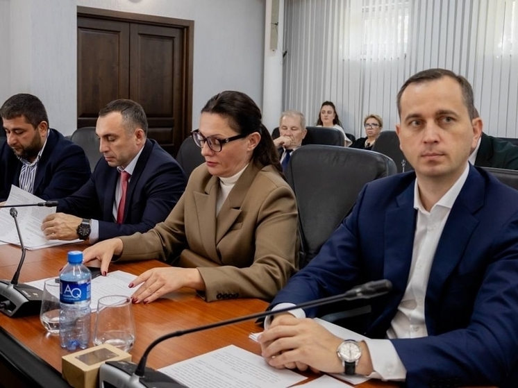Депутат Наталья Гвоздева сообщила о зарегистрированной фракции ЛДПР в гордуме Краснодара