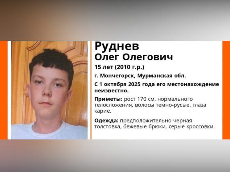 К поискам пропавшего подростка из Мурманской области присоединились карельские поисковики