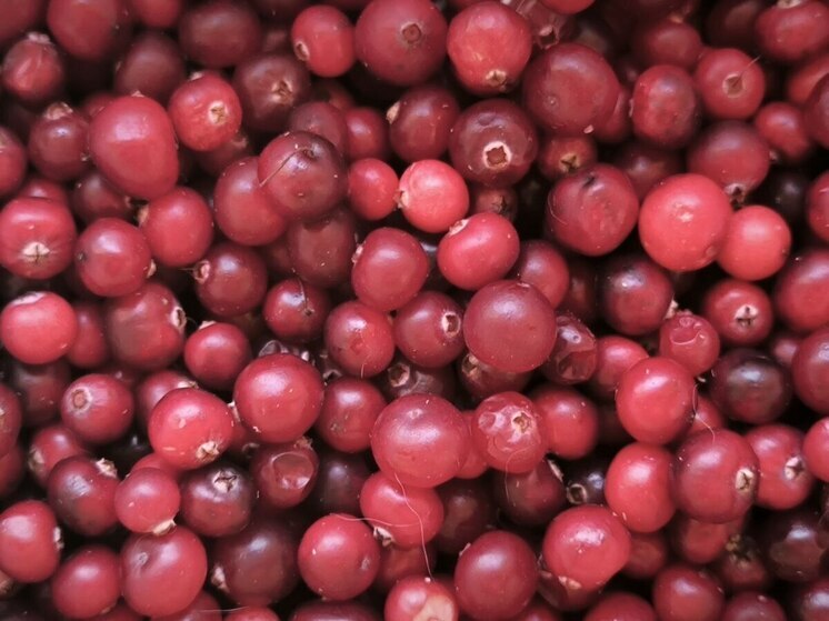 Праздник клюквы в Пыталово обещает яркие впечатления и вкусные угощения