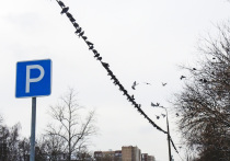 В новых бизнес-центрах Москвы застройщики закладывают в среднем в 2-2,5 раза меньше парковочных мест на арендную площадь, чем требовали нормы десятилетней давности