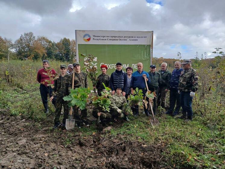 В Северной Осетии высадили 1000 саженцев бука в рамках акции «Сохраним лес»