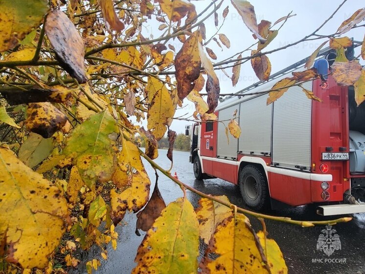 В Волгореченске пожарные предотвратили взрыв бензобака в машине-перевертыше
