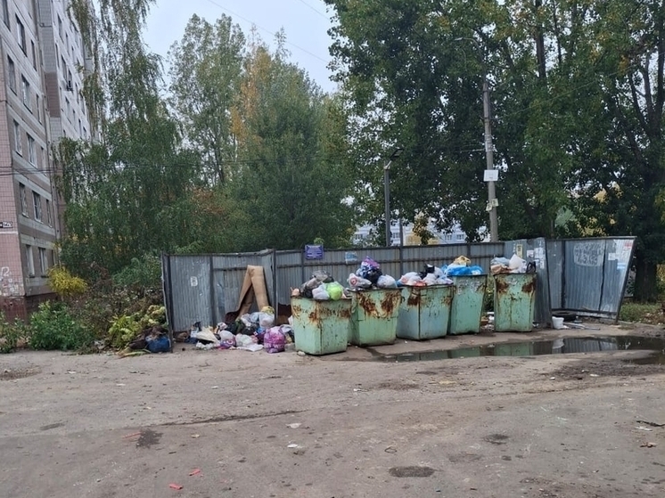 Нарушения в содержании мусорных площадок выявили во дворах Рязани