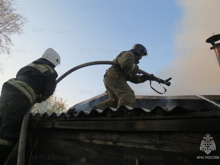 Спасатели потушили пожар в свердловском СНТ