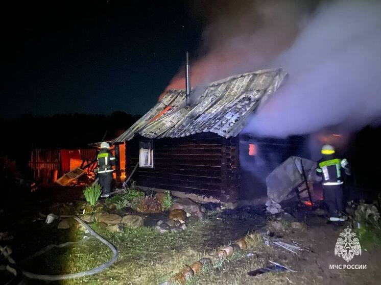 С начала года новгородские пожарные потушили 87 бань