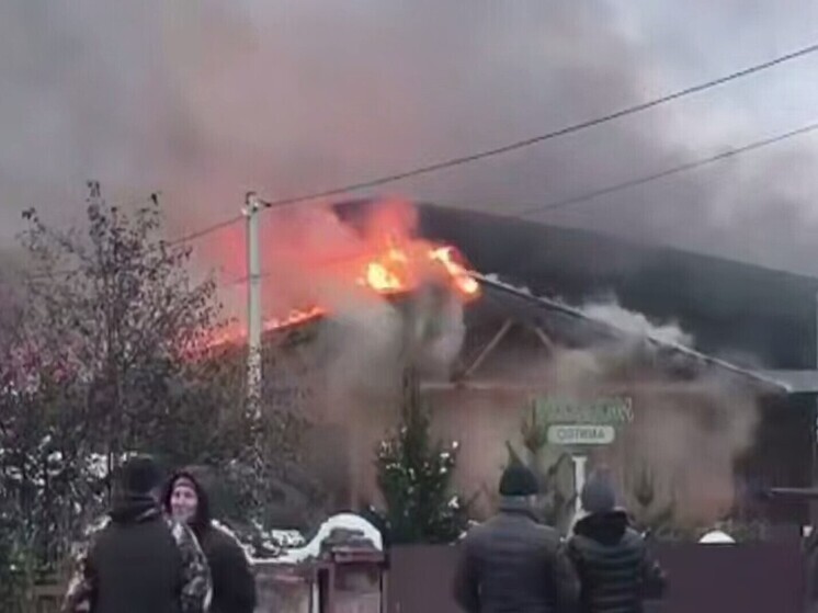 Огонь уничтожил свыше 1000 кв. метров на предприятии в Мочище под Новосибирском