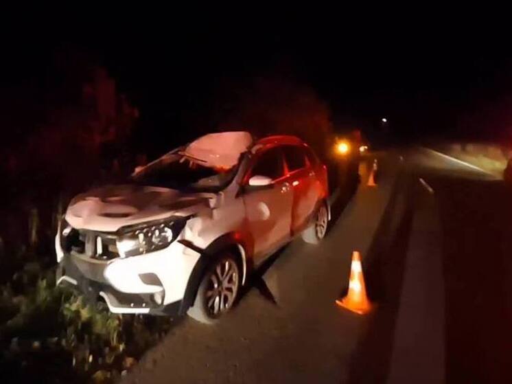Авария с лосем на нижегородской трассе: пострадала пассажирка