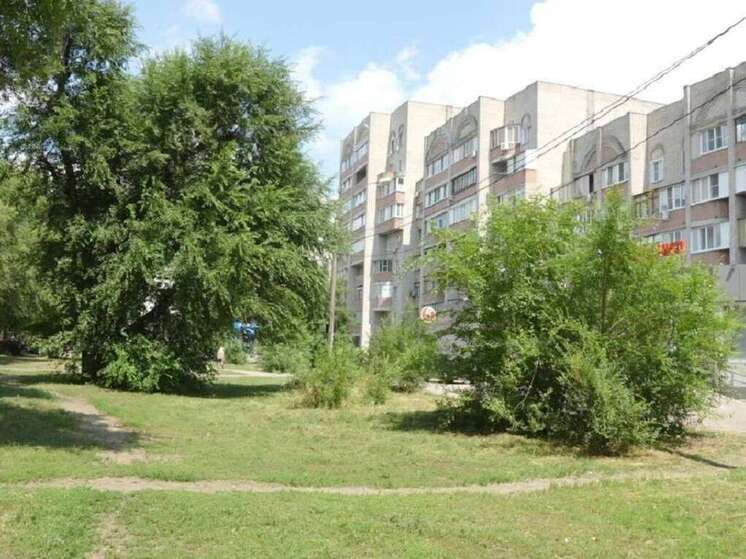 В Воронеже за 1,3 млн рублей обновят бульвар «Героев Сталинграда»