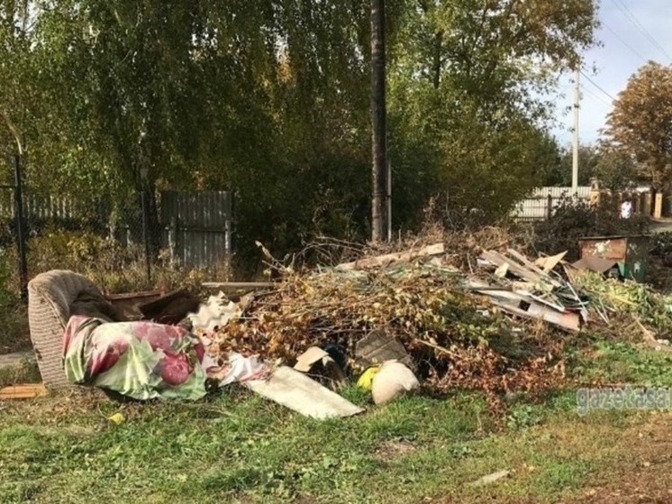 Мусорные дела: в Сампурском округе начали штрафовать начали нарушителей чистоты
