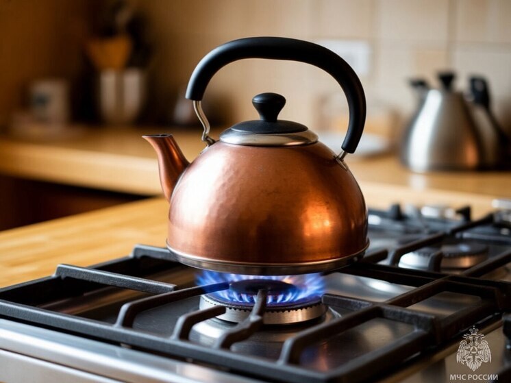 Безопасность в быту: как правильно использовать газ в вашем доме