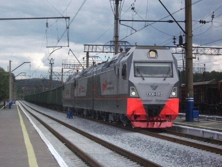 В Екатеринбурге начата проверка из-за гибели мужчины, сбитого поездом