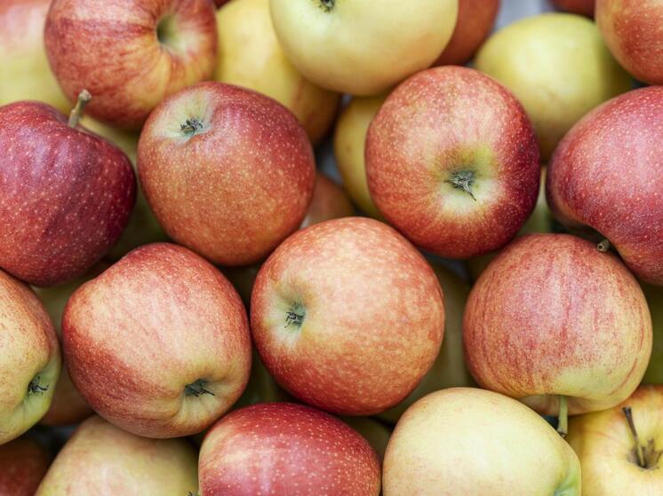 Диетологи рекомендуют сделать яблоко обязательным завершением трапезы