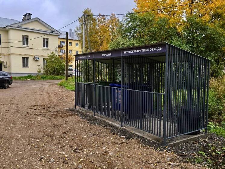 В Старой Руссе 12 контейнерных площадок приведут к нормам СанПиН до 1 ноября