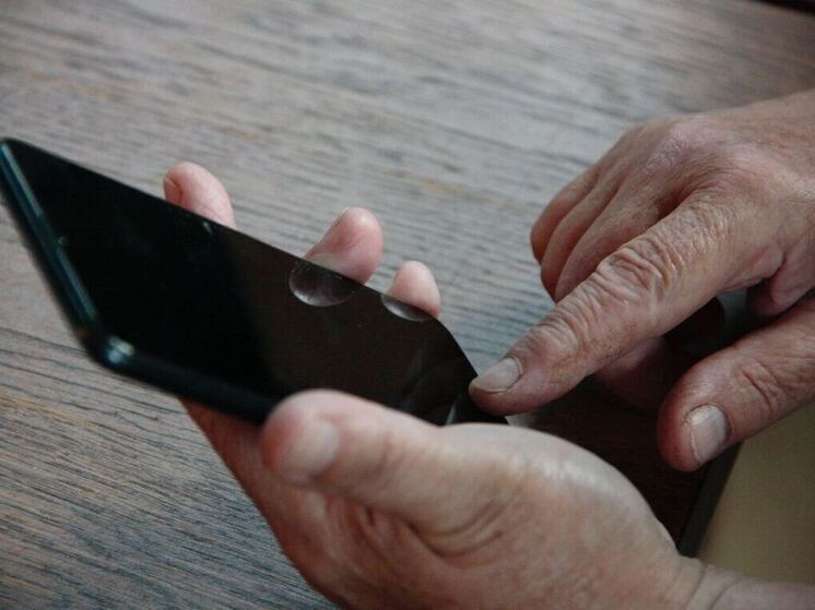 Черногорец решил разбогатеть под старость лет и прогадал с помощниками