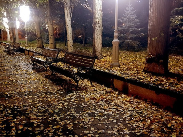 В Волгоградской области 12 октября ожидаются дожди, туман и порывистый ветер