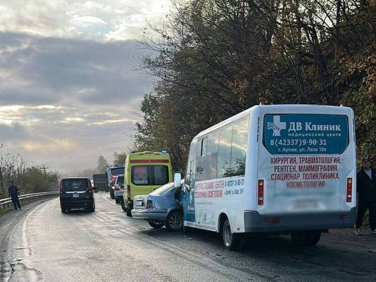 В Артеме иномарка столкнулась с пассажирским автобусом, есть пострадавший