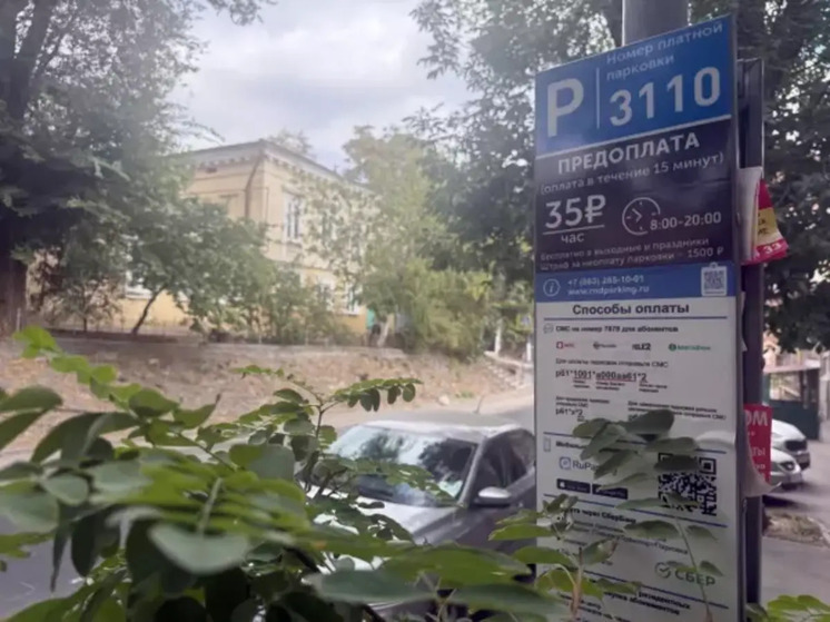 За неоплаченную парковку в Ростове полиция поможет администрации города штрафовать водителей