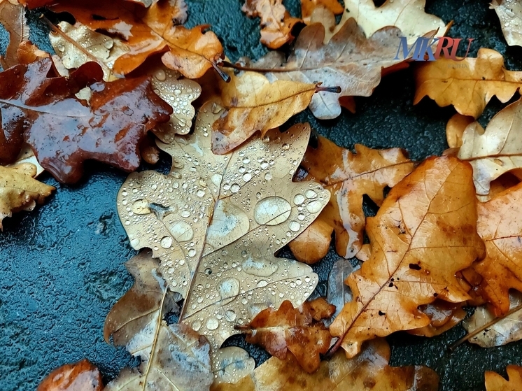 Калужские синоптики предупреждают о сером и сыром воскресенье