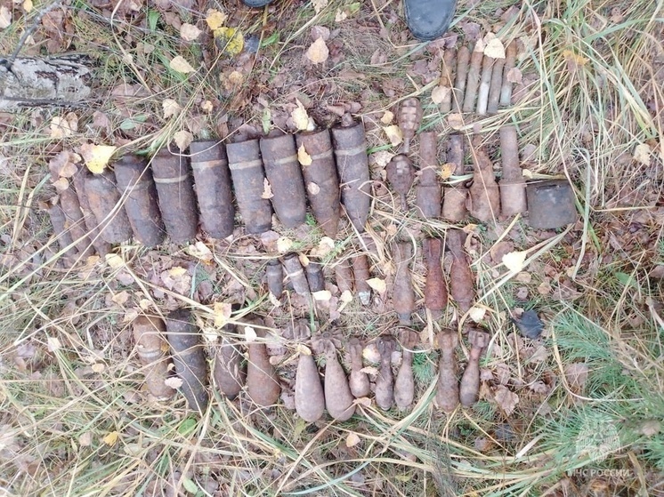 Жители юхновской деревни Мосейково слышали мощный взрыв