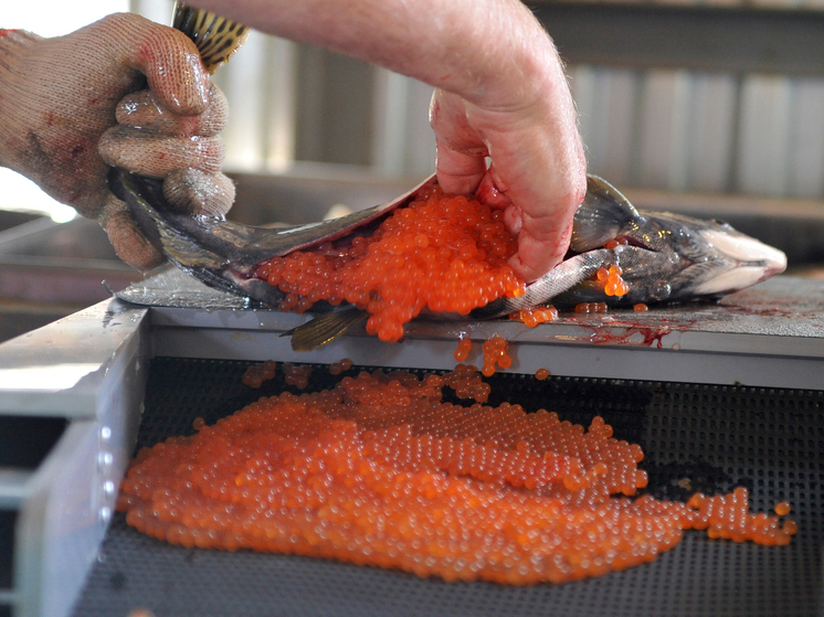 В России на 100 рублей подешевела красная икра