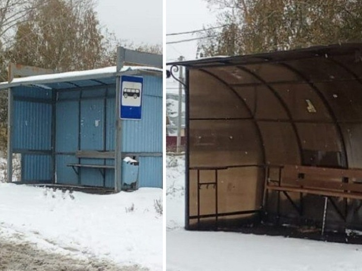 Поселок Мичуринский под Новосибирском живёт без общественного транспорта с 2024 года