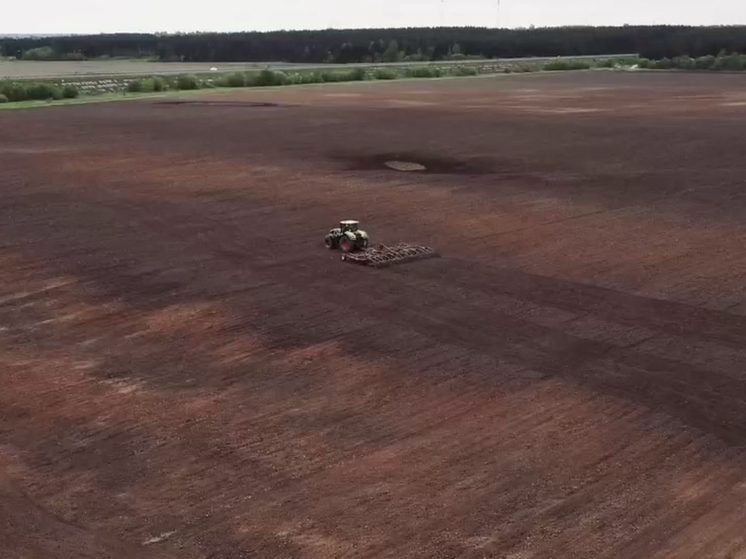 Калужские аграрии встречают профессиональный праздник отличными результатами