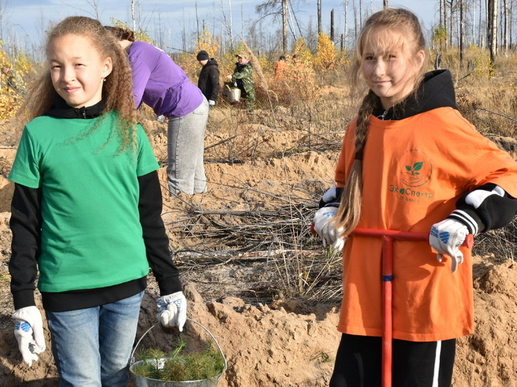 В Марий Эл прошло центральное мероприятие акции «Сохраним лес»