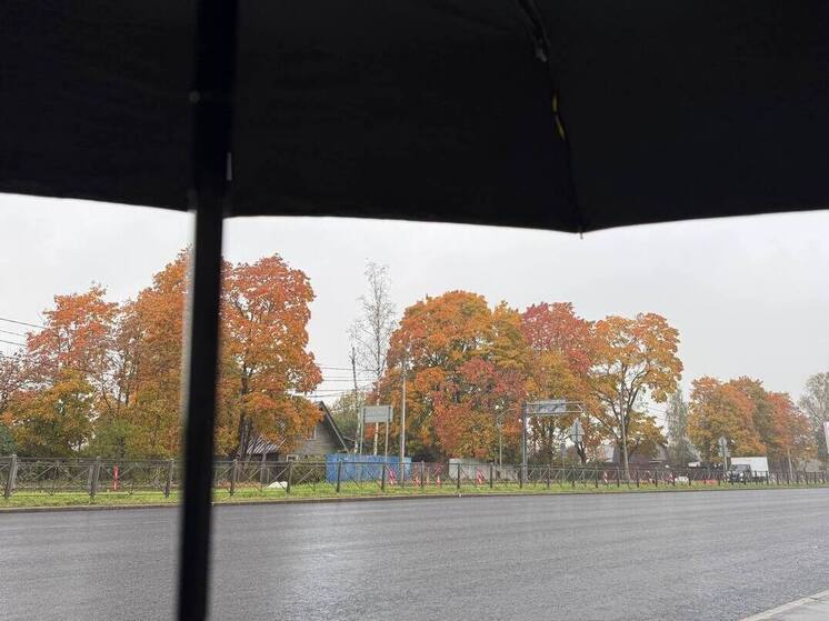 Петербуржцев накроют кратковременные дожди и +9 градусов