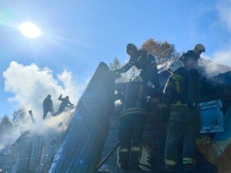 Два человека получили сильные ожоги при пожаре в частном доме в Барнауле