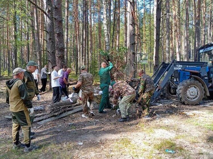 В лесах Владимирской области прошли массовые субботники