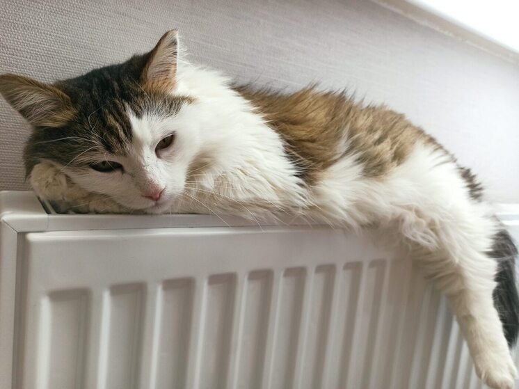 Тепло начали подавать во все жилые дома и социальные объекты Волгограда