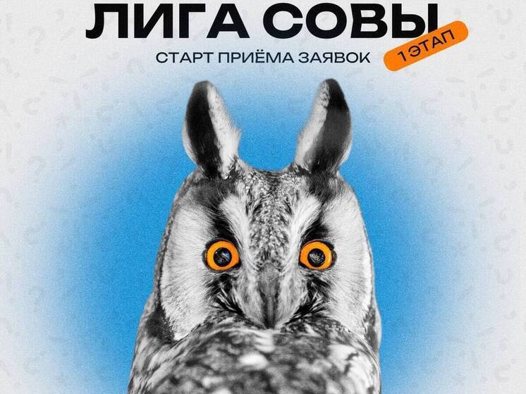 Юных интеллектуалов Нового Уренгоя приглашают на новый сезон «Лиги Совы»