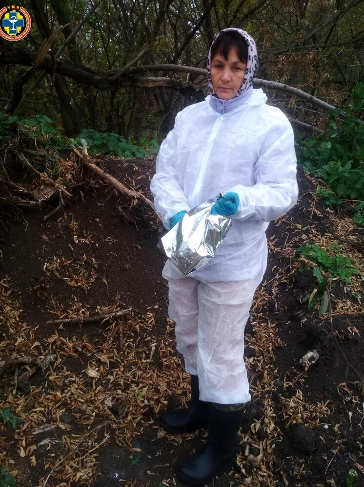 В Чувашии раскладывают вакцину от бешенства для диких животных