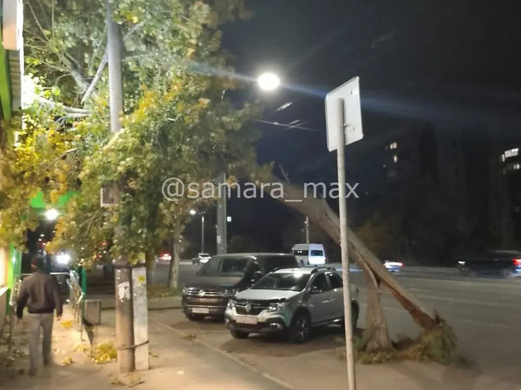 В Самаре ураганный ветер повалил несколько деревьев вечером 11 октября