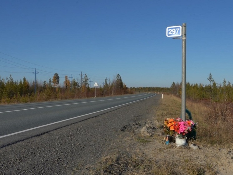 На месте гибели в ДТП пятерых ноябрян запретили обгон