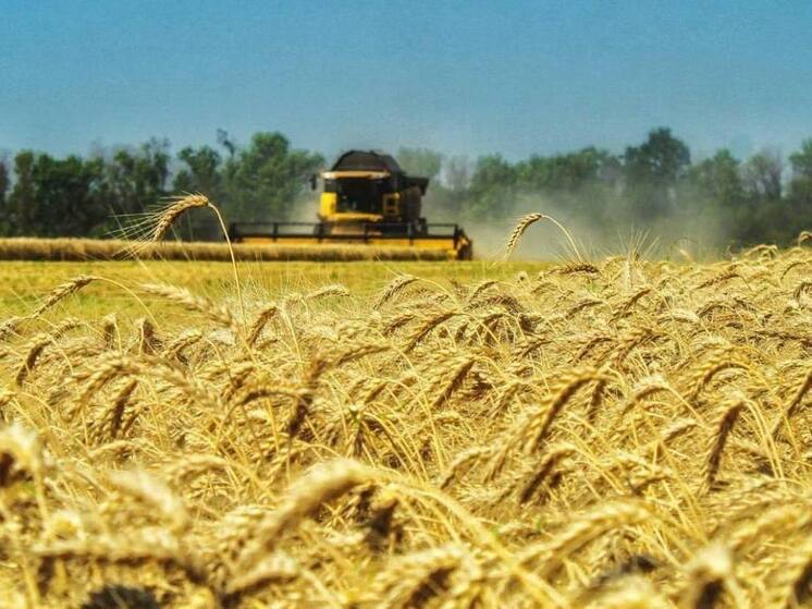 Губернатор Запорожской области поздравил запорожских аграриев с профессиональным праздником