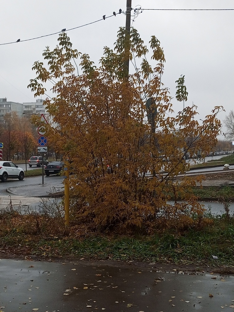 В Татарстан пришли дожди