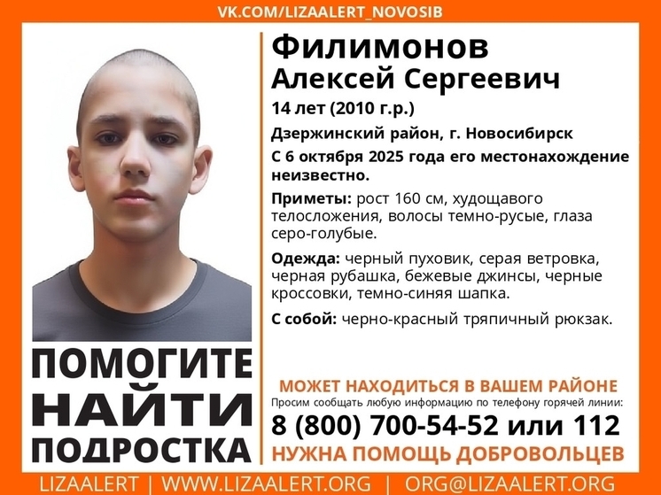 В Новосибирске шестой день ищут 14-летнего подростка
