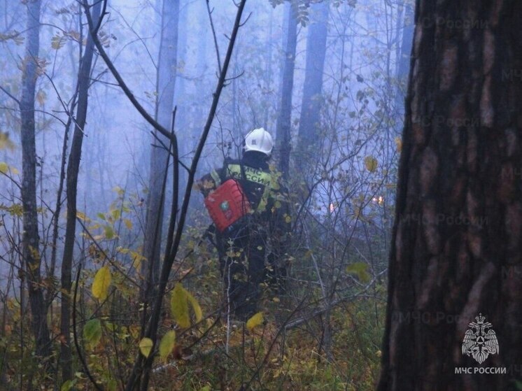 На 60 пожаров и 6 ДТП приезжали самарские спасатели в течение 24 часов