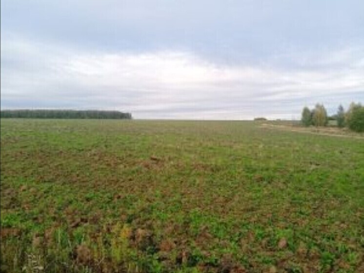В Орловской области ввели в оборот около 60 гектаров неиспользуемых плодородных земель