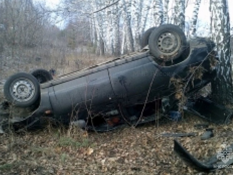 В Курганской области легковушка вылетела в кювет и перевернулась