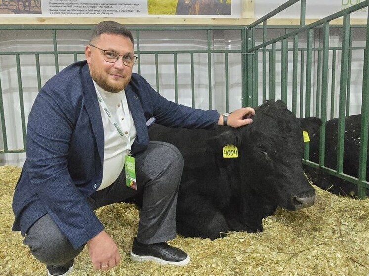 Ленинградский бычок получил медаль на выставке «Золотая осень»