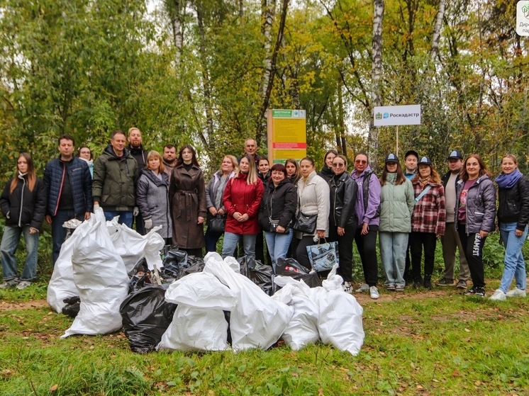 Комсомольскую рощу в Калуге чистят второй раз за осень